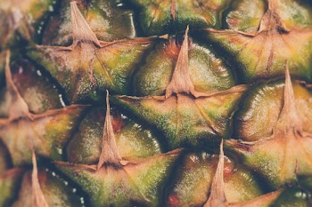 Green Pineapple