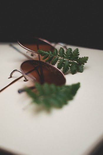 Green Pinnate Leaves On Brown Sunglasses