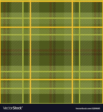 Green Plaid Pattern vector image