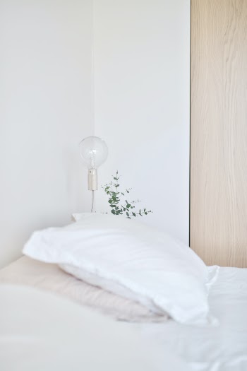 green plant beside  lamp next to bed with white pillow