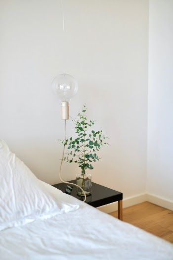 green plant beside lamp with black table