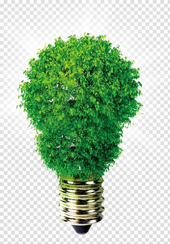 Green plant bulb , Incandescent light bulb Lighting Light-emitting diode Emergency light, light bulb transparent background PNG clipart