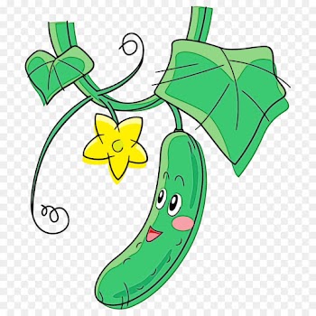 green plant clip art jalapeño vegetable