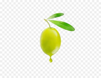 green plant fruit yellow leaf