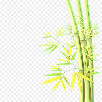 green plant grass leaf plant stem