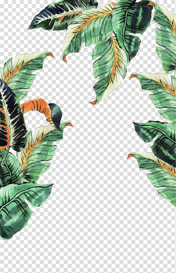 Green plant illustration, Musa basjoo Leaf Banana, Hand-painted banana leaves transparent background PNG clipart