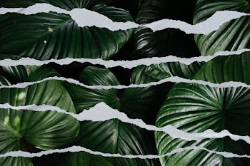 Green plant image in torn paper style | Free stock illustration | High Resolution graphic