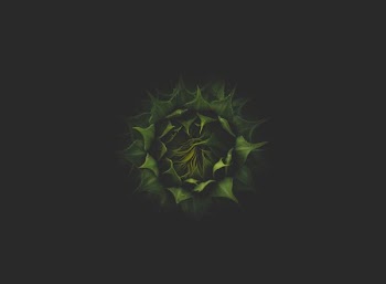 green plant in dark background
