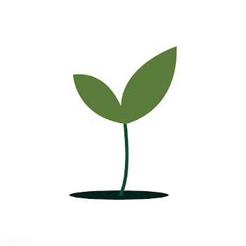 Green plant isolated in white illustration | Free stock vector - 462159