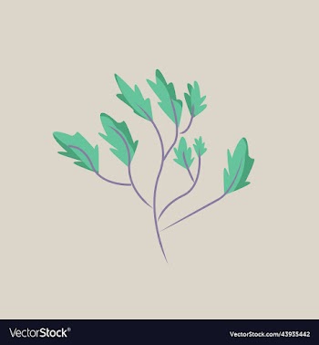 green plant isolated white bac