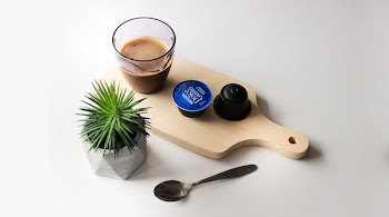 green plant near cup on table