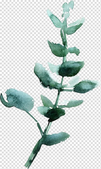 Green plant painting illustration, Leaf Watercolor painting Green, Emerald green leaves vintage watercolor transparent background PNG clipart