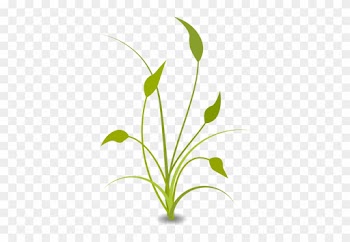 Green Plant With Leaves - Nature Png Clipart