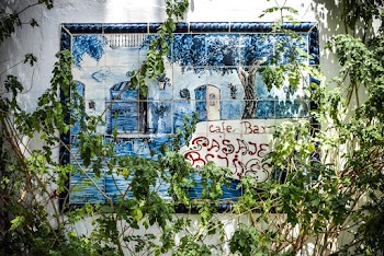Green Plants in Front of Painting