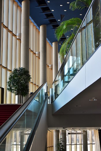 Green Plants Inside Building