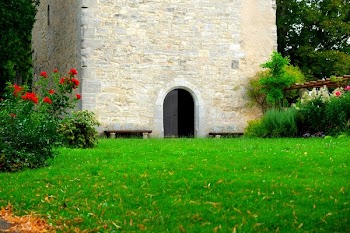 Green Plants Near Building