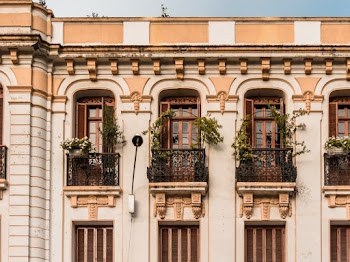 Green Plants Near Window