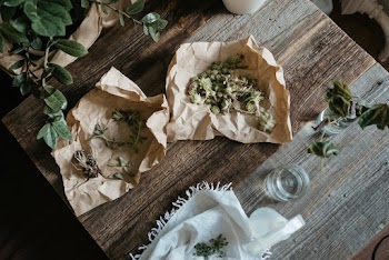Green Plants on Brown Wooden Table