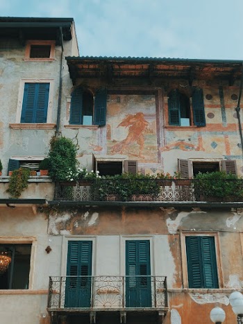 Green Plants on Building Terraces