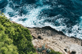 Green Plants on High-ground With Body of Water Below