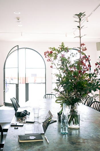 Green Plants on Table