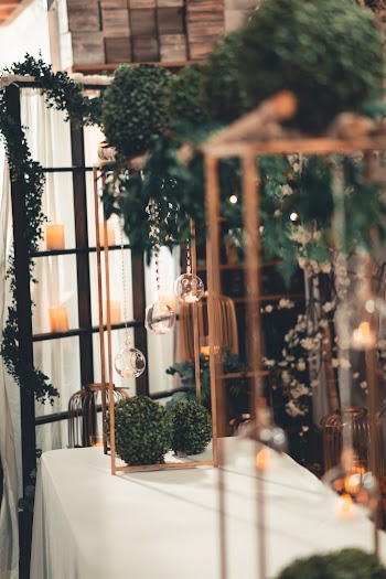 Green Plants on White Tablecloth Inside Lighted Room