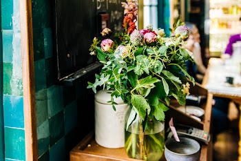 Green Potted Plant