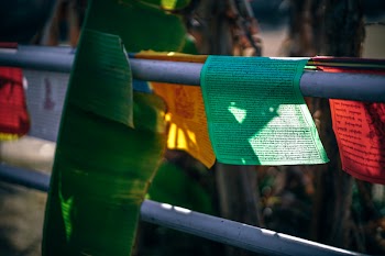 Green Printer Paper on Fence Near Banana Leaf