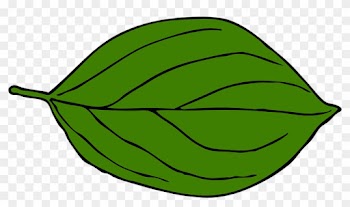 Green Pumpkin Leaf Clipart Free Clipart Images - Leaf Drawing Clip Art