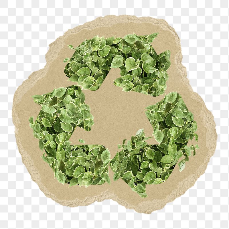 Green recycling symbol png sticker, | Free PNG - rawpixel