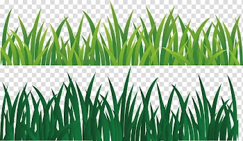 Green ribbon, Green grass transparent background PNG clipart