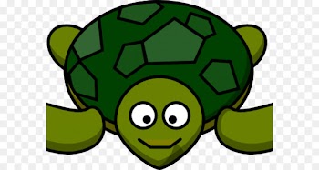 Green sea turtle Clip art Reptile - turtule frame 