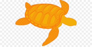 Green sea turtle Clip art - turtle 