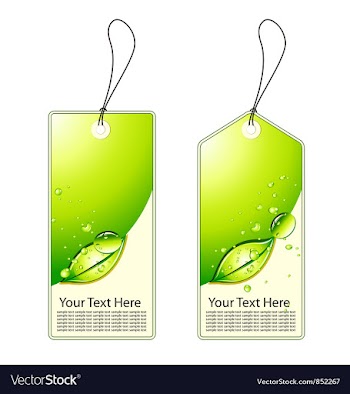 Green shopping tags set vector image