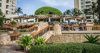 Green Shrubs Near the Gazebo