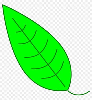 Green Simple Leaf - Hojas De Arbol Verde