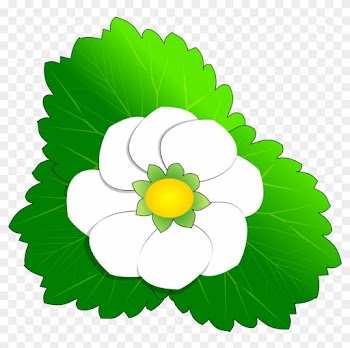 Green Small Flower Clip Art - Flower Clip Art
