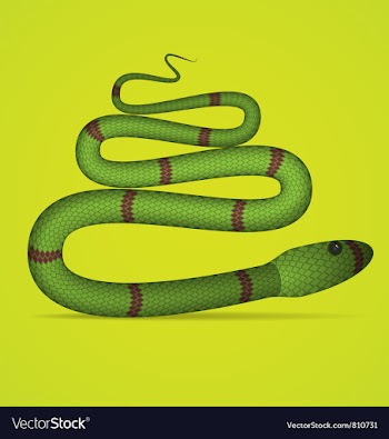  					Green Snake vector image														