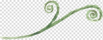 Green spiral plant , Watercolor painting Drawing, Hand-painted watercolor leaves transparent background PNG clipart
