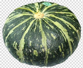 Green squash, Watermelon Figleaf Gourd Calabaza Pumpkin, Sweet Pumpkin transparent background PNG clipart