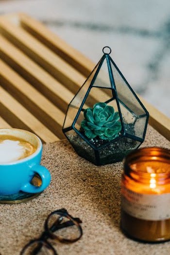 green succulent in between glass candle and teacup on table