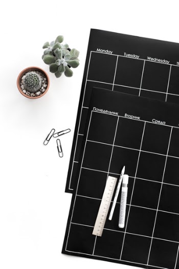 Green Succulent Plant Beside Black Planner