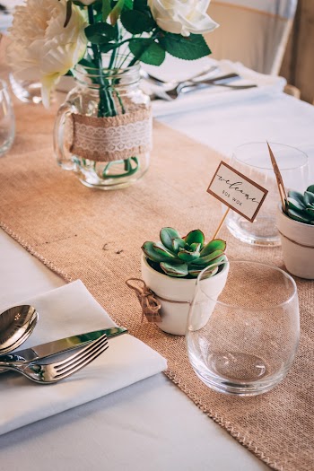 Green Succulent Plant in White Ceramic Pot Beside Stainless Steel Fork and Bread Knife on White Table Napkin