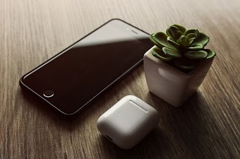 green succulent plant near white charging case and black iPhone 7