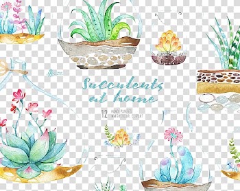 Green succulent plant , Wedding invitation Watercolour Flowers Watercolor painting , Watercolor plants transparent background PNG clipart