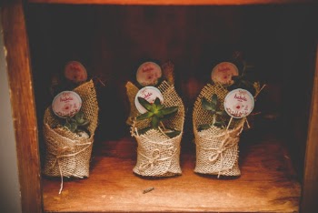 Green Succulent Plants