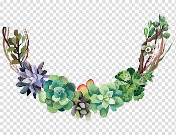 Green succulents transparent background PNG clipart