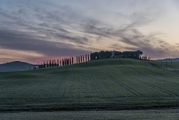 Green summer field. Original public | Free Photo - rawpixel