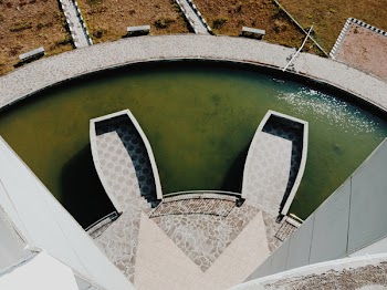 Green Swimming Pool Surrounded by Gray Concrete Flooring