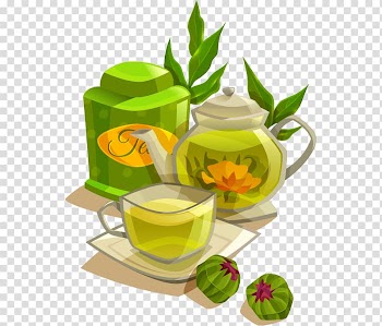Green tea Biluochun Flowering tea, Hand colored tea cup transparent background PNG clipart